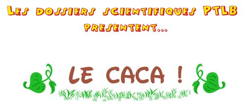 Titre