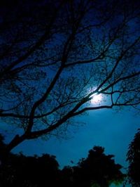 Semota_My_winter_night