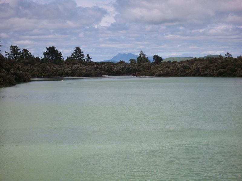 Rotorua 040