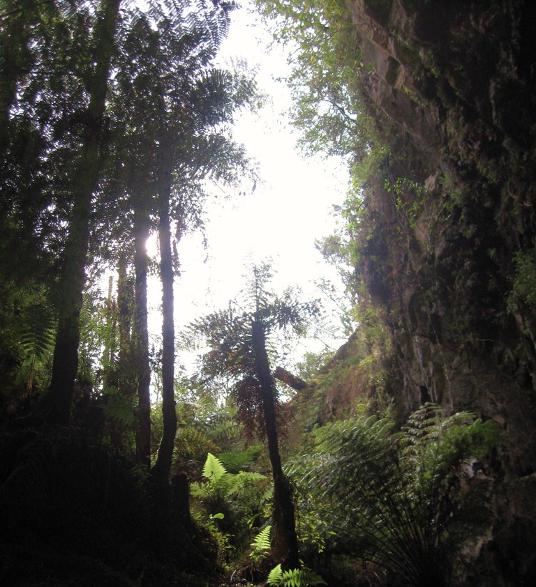 Rotorua 074