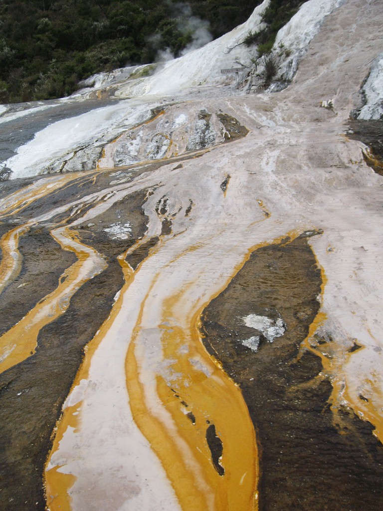 Rotorua 064