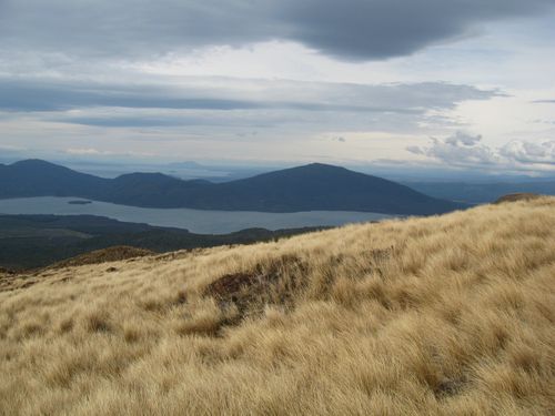 Tongariro National Park 058