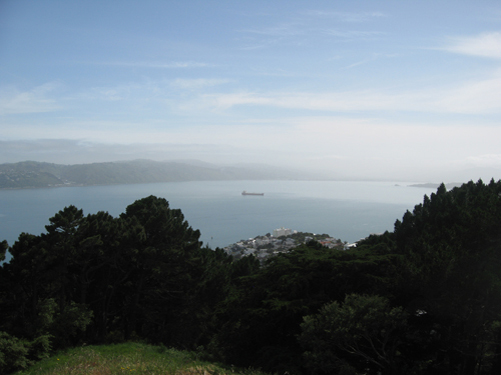 Wellington 002