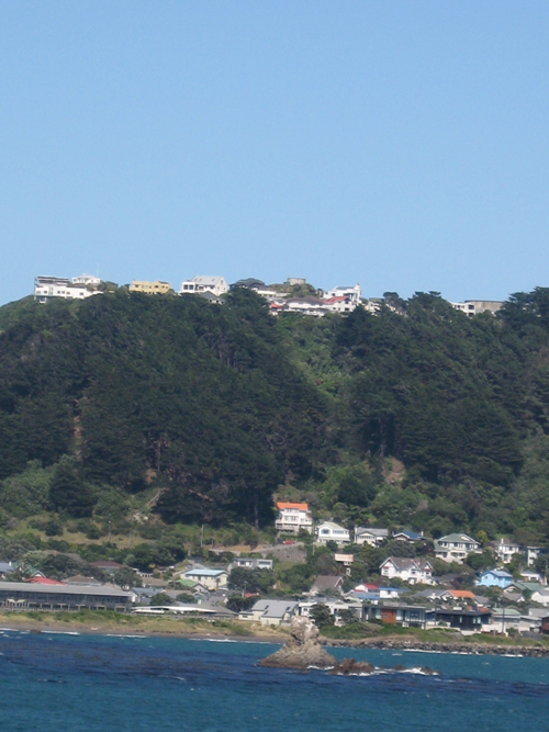 Wellington - Tapawara 008