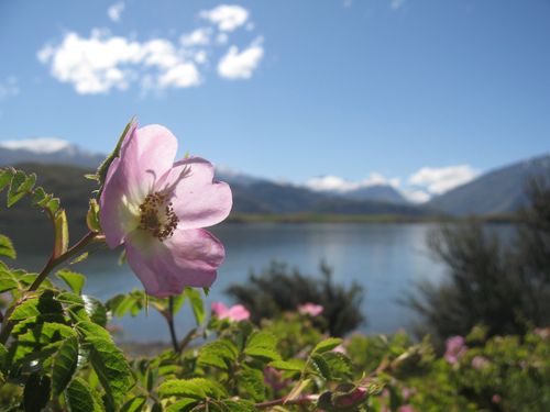 Wanaka - Queenstown 085