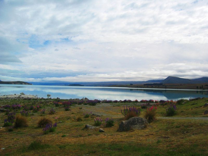 Tekapo---Dunedin-002