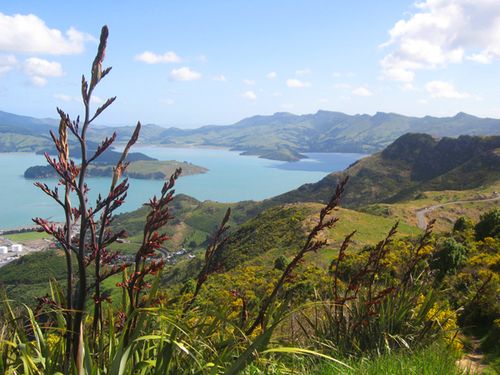 Christchurch 059