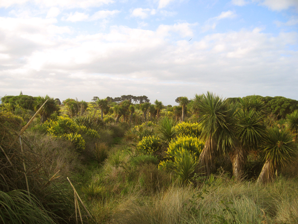 Christchurch 069