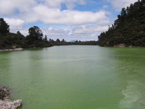 Rotorua 039