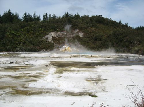 Rotorua 071