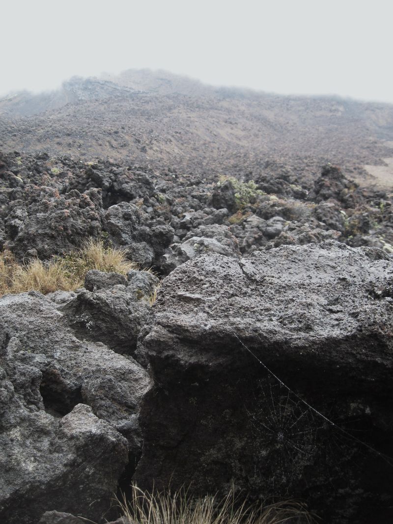 Tongariro National Park 009