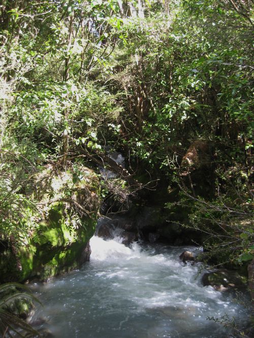 Tongariro National Park 064