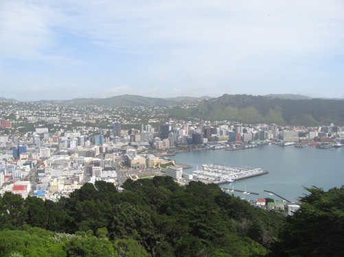 Wellington 001