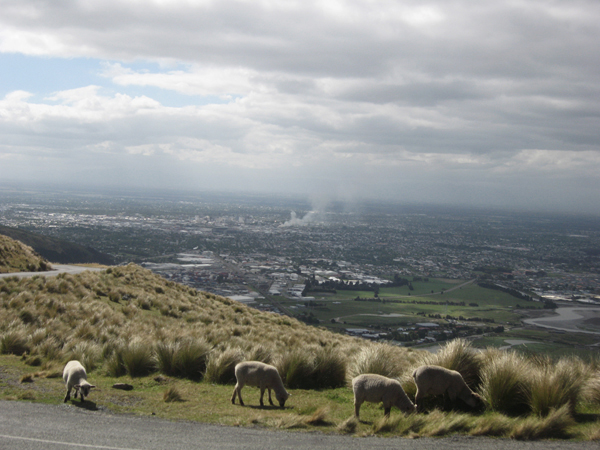 Christchurch 051